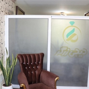 دیجی زرگر