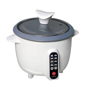 پلوپز مه پویا DM-500