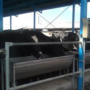 آبخوری فولاد گالوانیزه ضدزنگ