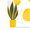 تلویزیون ال ای دی جی پلاس مدل سیتیزن